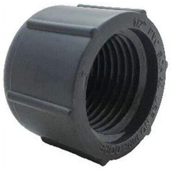 Orbit 1/2 in. Grey Plastic Cap Pipe Fittings, 2 Piece, 2 Pack