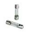thumbnail image 1 of Orbit 2pk Replacement Fuse for Sprinkler Timer, Irrigation Controller  - 57003, 1 of 1
