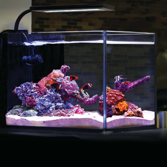 Orbit Marine NANO 16 Watt Reef Saltwater Marine Aquarium Coral Light with Dimming, Moonlight, Cloud Cover & Lighting Storm Clip Small Fish Tank w/Mounting Bracket (4095)