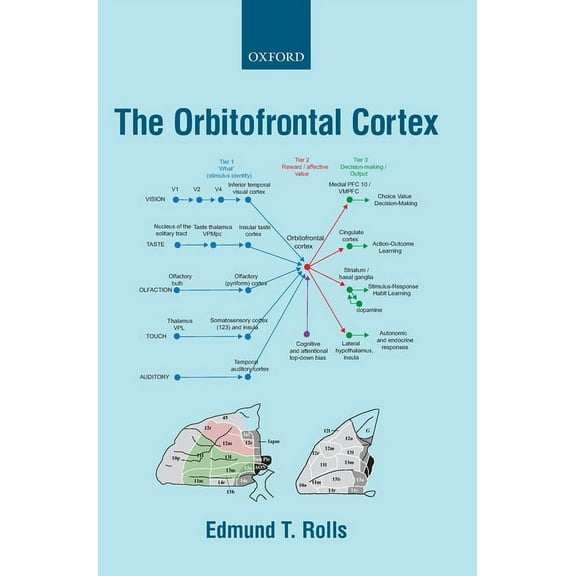 Orbitofrontal Cortex, (Hardcover)