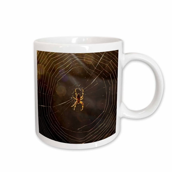 3drose, Orbweaver Spider, Los Angeles, Ca - Na02 Rsp0005 - Rob Sheppard, 11oz Mug