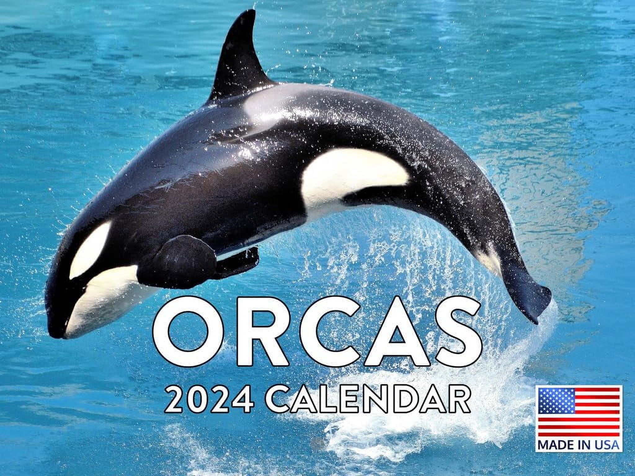 Orca Calendar 2024 Orcas Monthly Wall Calender 12 Month