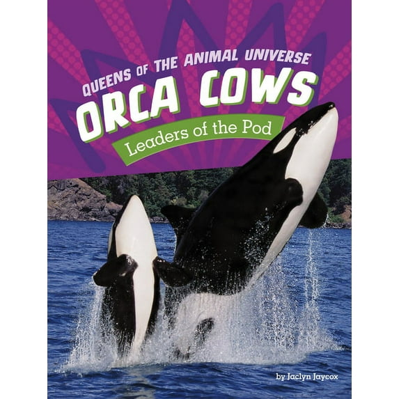 Queens of the Animal Universe Orca Cows: Leaders of the Pod, (Hardcover)