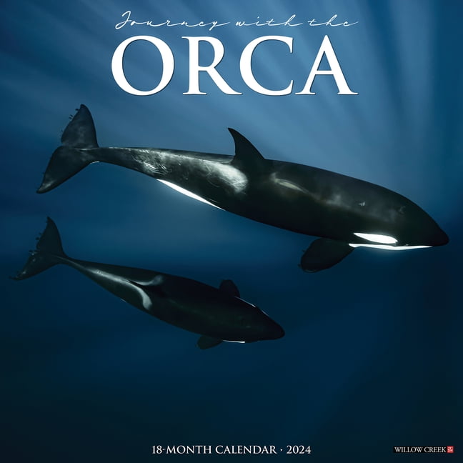Orca (Journey with The) 2025 12 X 12 Wall Calendar