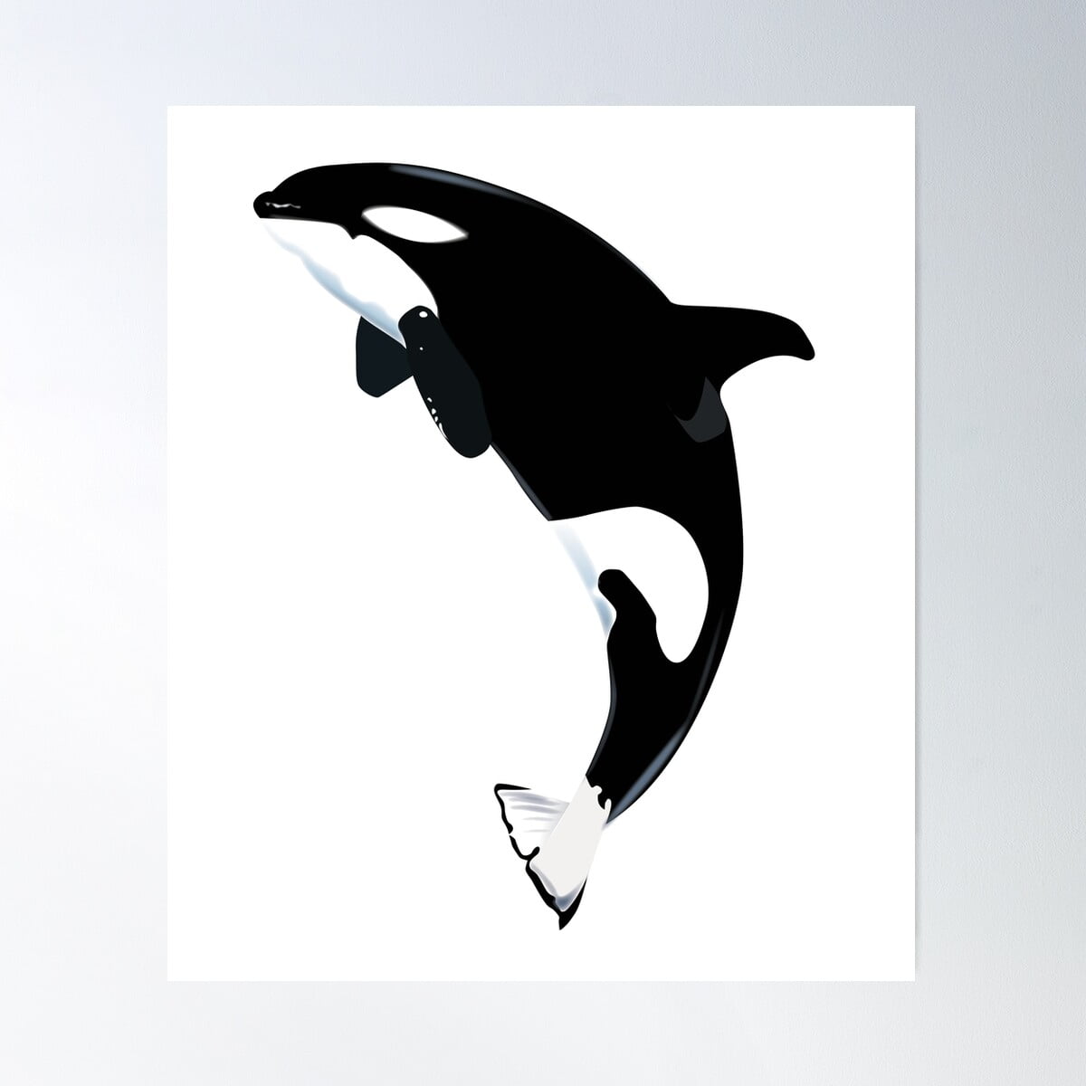 Orca Killer Whale Poster Wall Art, Modern Wall Decor For Living Room ...