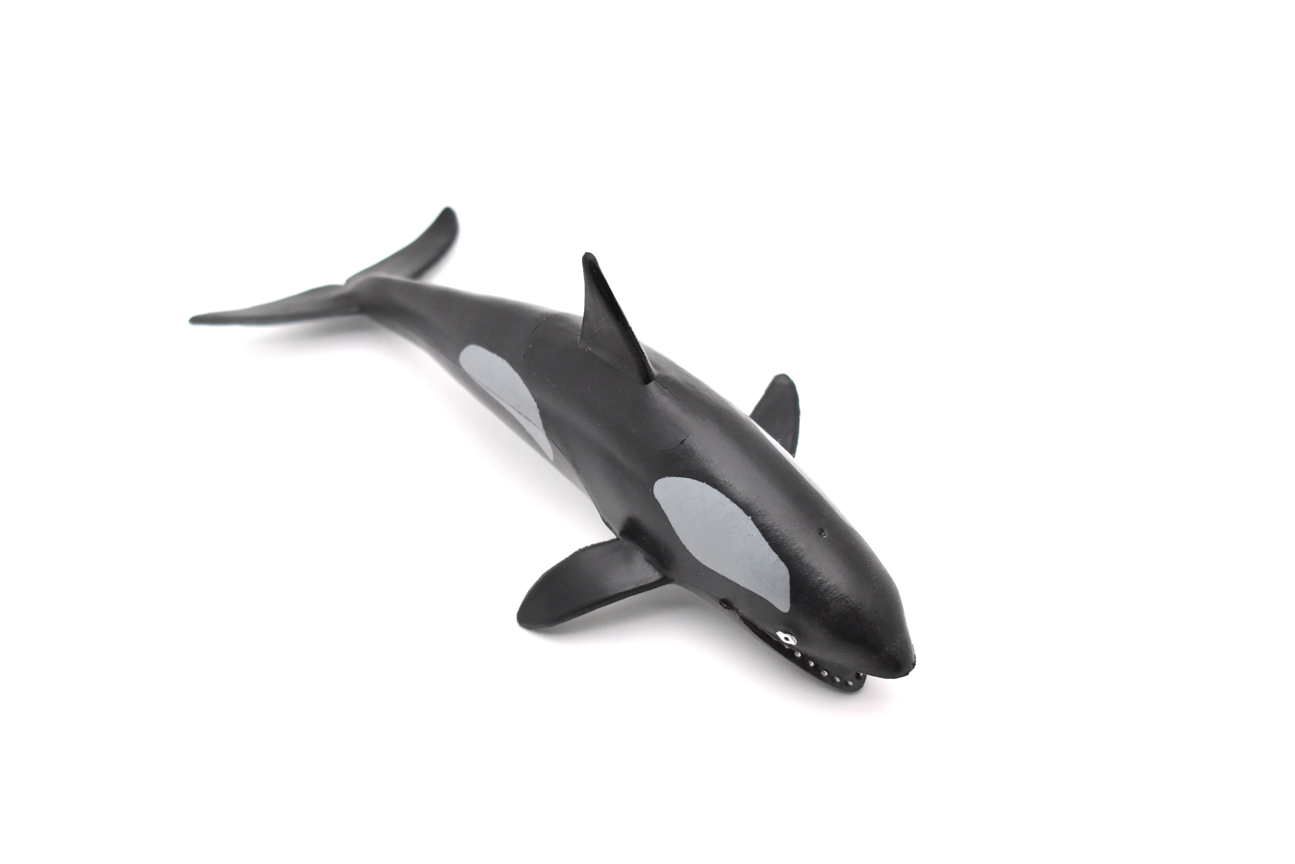 Orca, Killer Whale, Very Nice Solid Rubber Replica 6