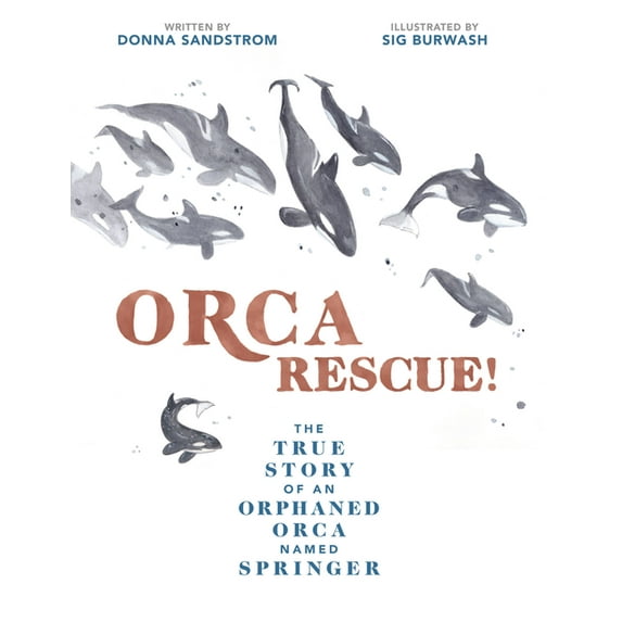 Orca Rescue!: The True Story of an Orphaned Orca Named Springer, (Hardcover)