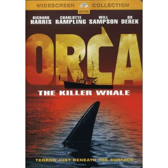 Orca - The Killer Whale