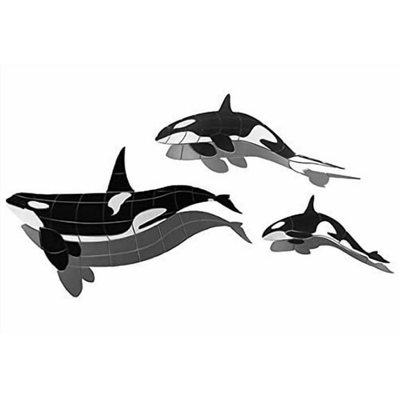 Orca Whale 3 Piece Family Porcelain Swimming Pool Mosaic with Shadows