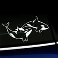 thumbnail image 1 of Orcas - Killer Whales - Vinyl Car Decal - Choose Color - [WHITE], 1 of 1