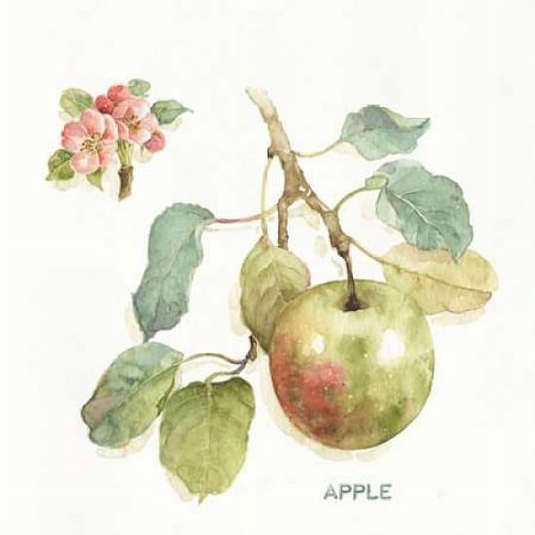 Orchard Bloom I Canvas Art - Lisa Audit (24 x 24)