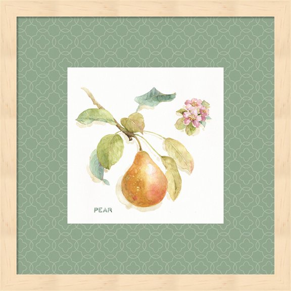 Orchard Bloom II Border by Lisa Audit, Framed Wall Art, 13.25W x 13.25H