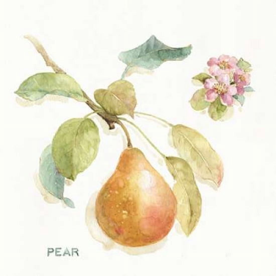 Orchard Bloom II Canvas Art - Lisa Audit (24 x 24)