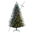 thumbnail image 1 of Orchard Fraser Fir Artificial Christmas Trees, 1 of 11