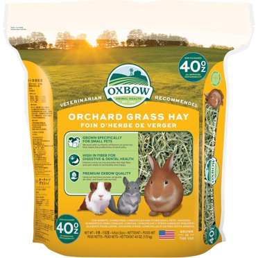 View of Vitakraft Orchard Grass Hay for Rabbits, Guinea Pigs, Chinchillas ...