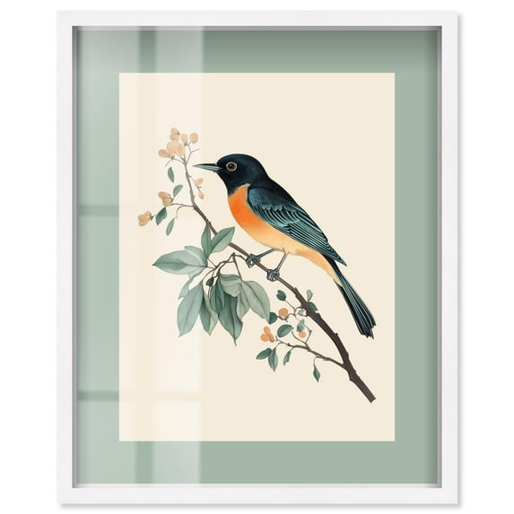 Orchard Oriole Shadowbox Print Botanical Art by Art Remedy, White Frame, 20 x 24