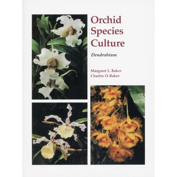 Orchard Species Culture Orchid Species Culture: Dendrobium, (Paperback)
