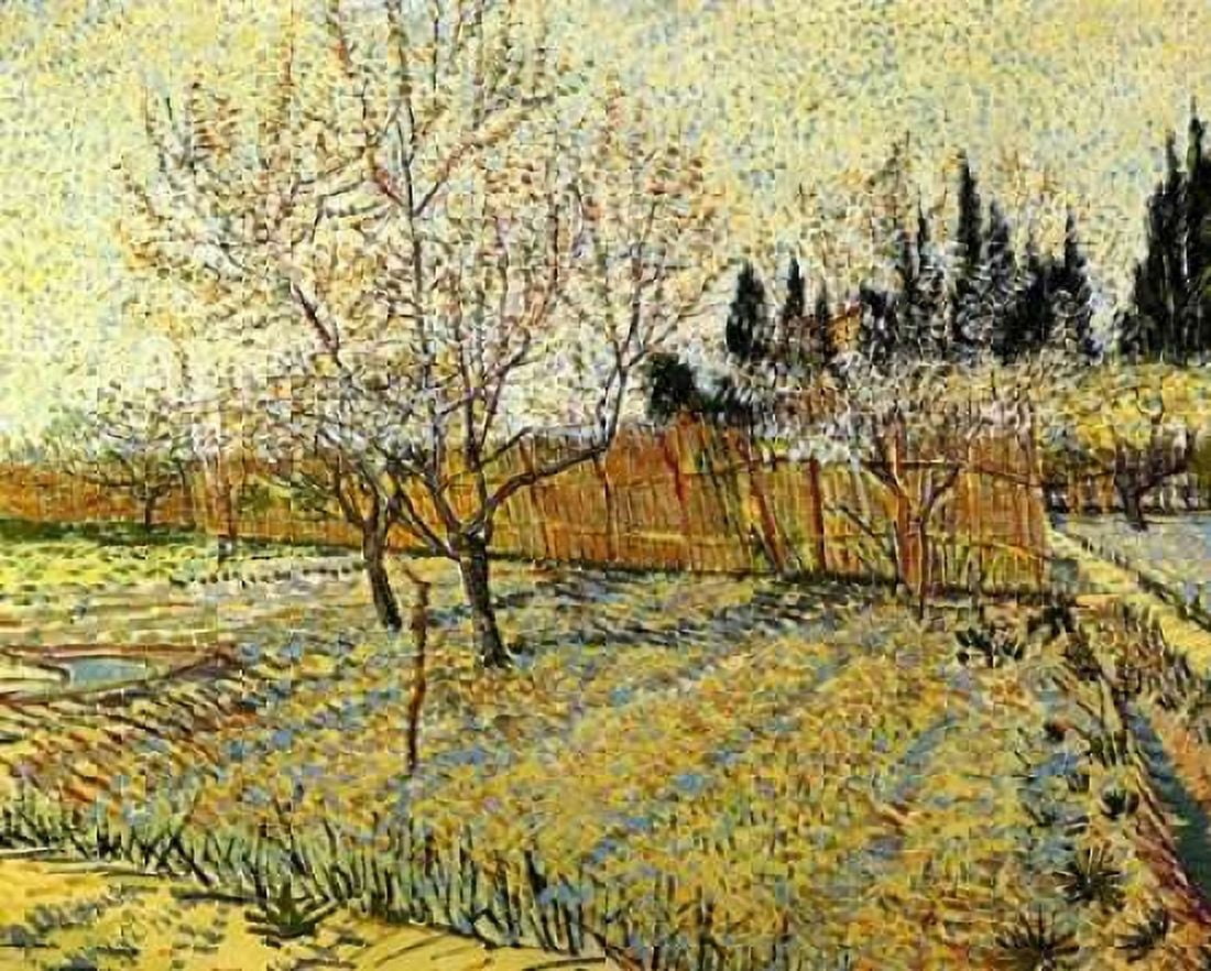 Orchard Springtime Canvas Art - Vincent Van Gogh (22 x 28)