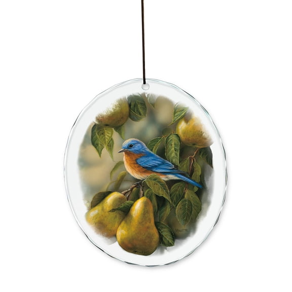 Orchard Visitor - Chickadee