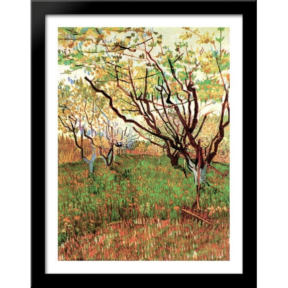 Orchard in Blossom 34x28 Large Black Wood Framed Print Art by Vincent van Gogh