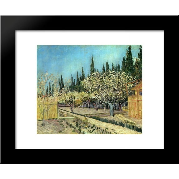 Orchard in Blossom, Bordered by Cypresses 20x24 Framed Art Print by Vincent van Gogh