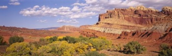 Orchards in front of sandstone cliffs Capitol Reef National Park Utah USA Canvas Art - Panoramic Images (36 x 12)