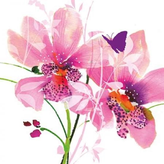 Orchid Blush Canvas Art - Summer Thornton (24 x 24)