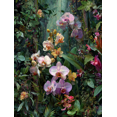 thumbnail image 1 of Orchid Botanical Canvas Print, Exotic Flower Wall Art for Living Room Bedroom Dining Room Bathroom Hallway Home Decor, 1 of 8