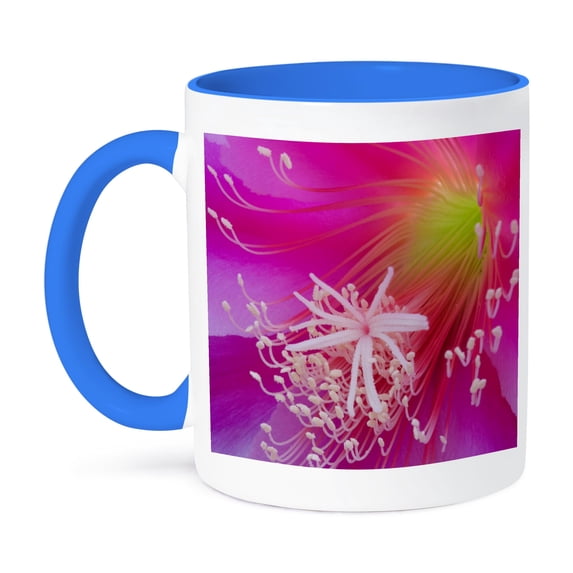 3dRose, Orchid cactus flower, Epiphyllum ackermannii - NA01 BJA0132 - Jaynes Gallery, 15oz Two-Tone Blue Mug
