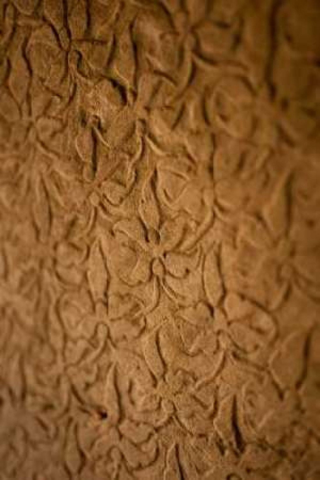 Orchid Carving I Canvas Art - Erin Berzel (24 x 36)