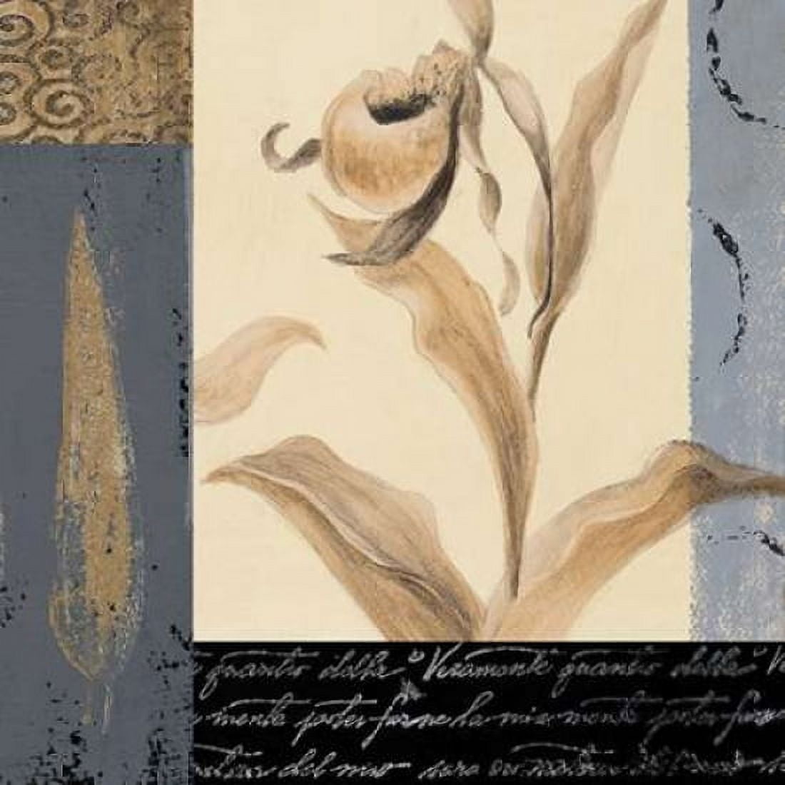 Orchid Collage I Canvas Art - Lanie Loreth (24 x 24)