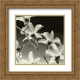 thumbnail image 1 of Orchid Denrobium 2x Matted 15x18 Gold Ornate Framed Art Print by Steven N. Meyers, 1 of 2
