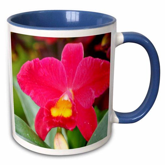 3drose, Orchid - Ee, 11oz Two-tone Blue Mug