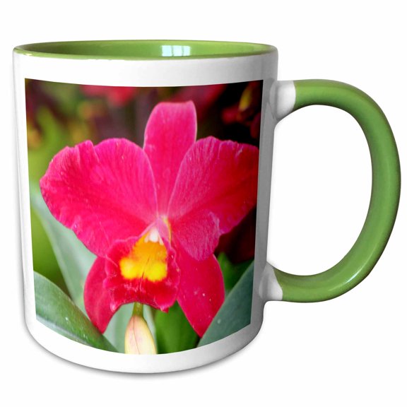 3drose, Orchid - Ee, 11oz Two-tone Green Mug