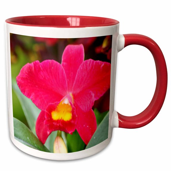3drose, Orchid - Ee, 11oz Two-tone Red Mug