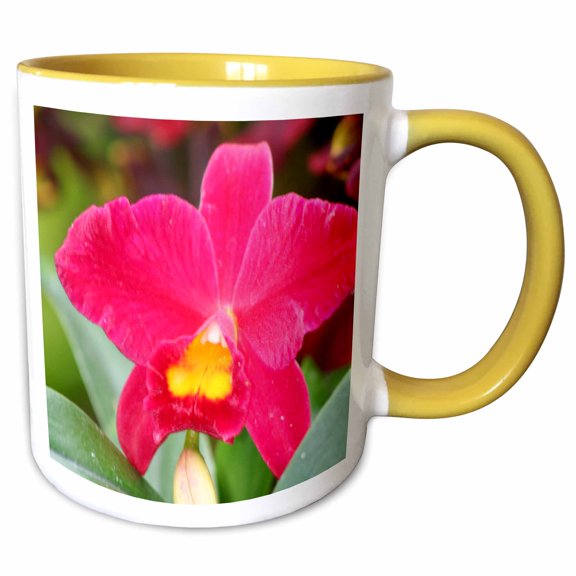 3drose, Orchid - Ee, 11oz Two-tone Yellow Mug