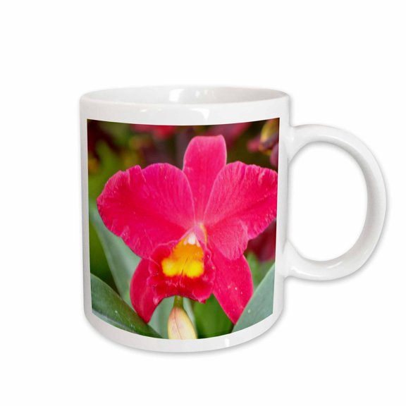 3drose, Orchid - Ee, 15oz Mug