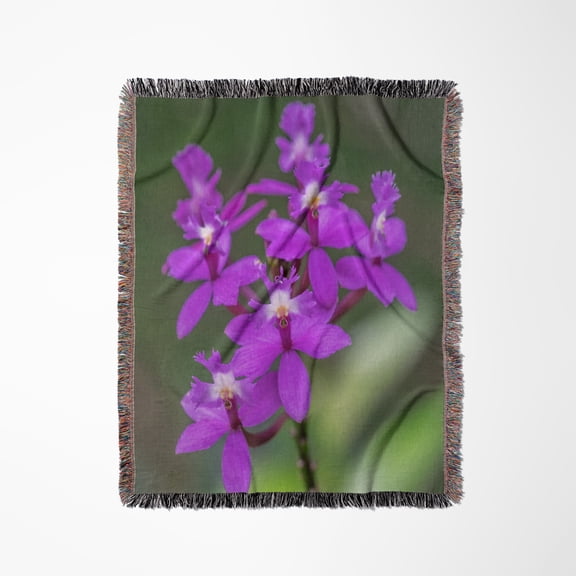Orchid, Epidendrum, Woven Blanket