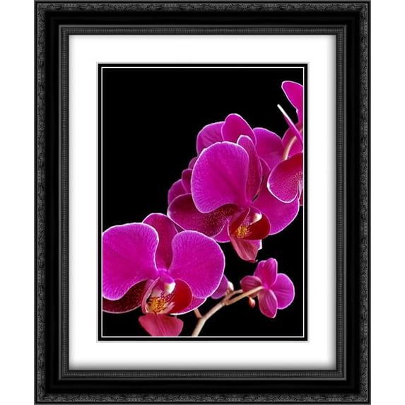Orchid Essence I 2x Matted 20x24 Black Ornate Framed Art Print by Burkhart, Monika