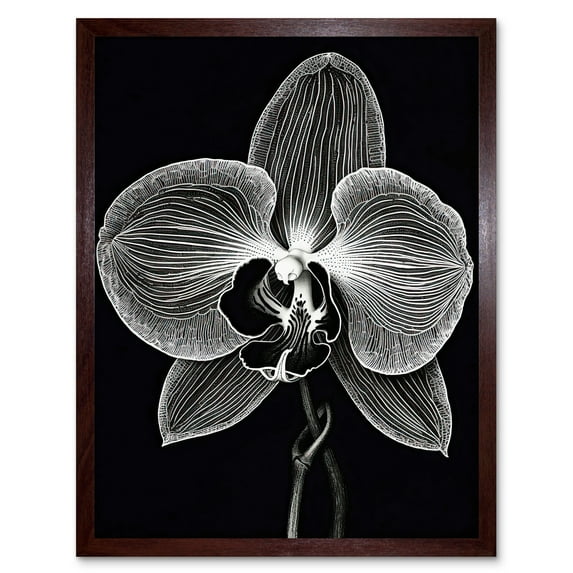 Orchid Flower Bloom Black and White Blind Contour Art Print Framed Poster Wall Decor 12x16 inch