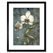 Orchid Flower Blooms Pastel Colour Art Nouveau Artwork Framed Wall Art Print 9X7 Inch
