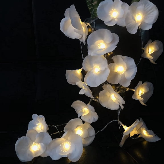 Orchid Flower String Lights, 9.8ft 20 LED Phalaenopsis Flower Fairy String Light ,Battery Operated Fairy Lights for Bedroom, Valentines Day, Holiday, Partry, Indoor,Birthday, Christmas Girls