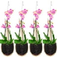 thumbnail image 1 of Orchid Hanging Planter 4 Inch 4 Pack with Bird Nest Style Plant Hangers, Handmade Thai Bamboo Woven Hanging Orchid Basket for Trellis Gazebo Indoor Outdoor, 1 of 10