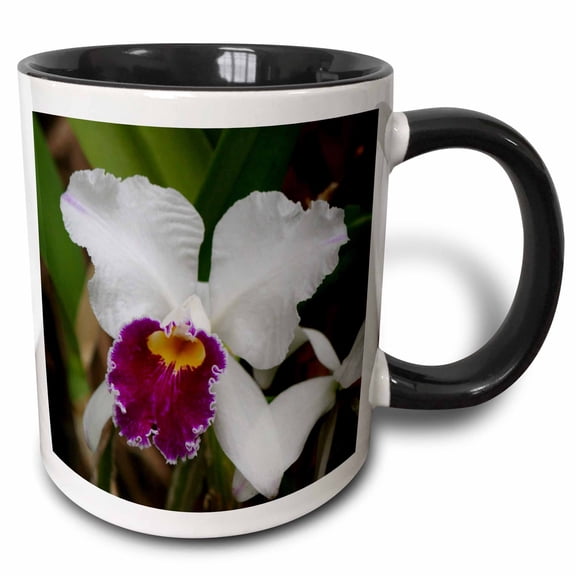 3drose, Orchid - Hh, 11oz Two-tone Black Mug