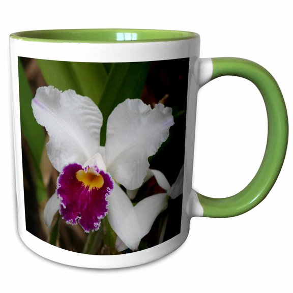3drose, Orchid - Hh, 11oz Two-tone Green Mug