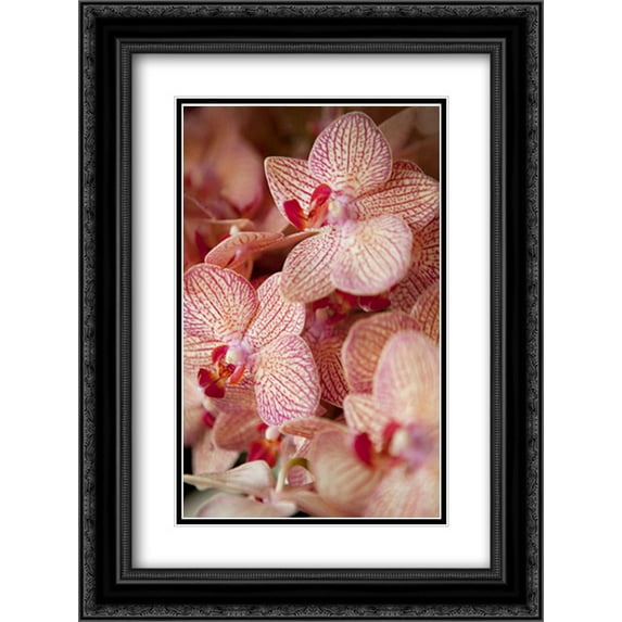Orchid II 2x Matted 18x24 Black Ornate Framed Art Print by Millet, Karyn