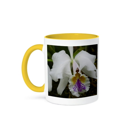 3dRose, ORCHID - II, 11oz Two-Tone Yellow Mug