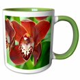 thumbnail image 1 of 3drose, Orchid - Kk, 11oz Two-tone Green Mug, 1 of 6