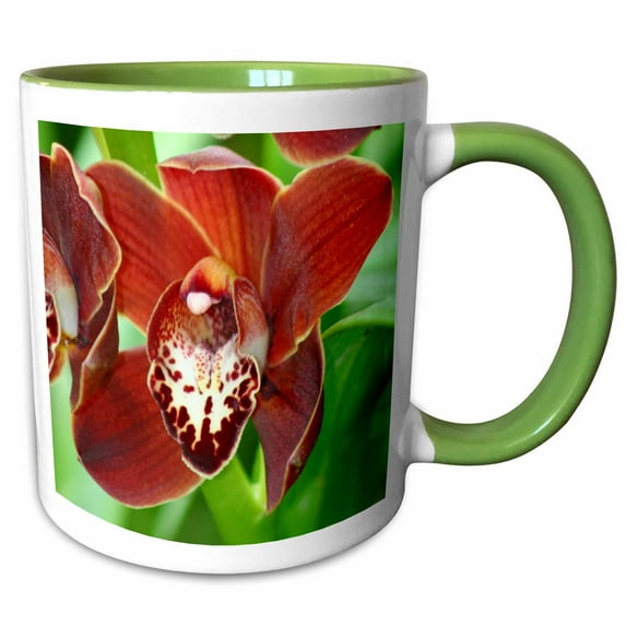 3drose, Orchid - Kk, 11oz Two-tone Green Mug
