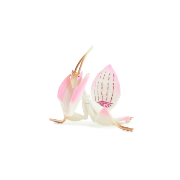 Orchid Mantis, Educational, Hand Painted, Museum Quality, Realistic Rubber Insect, Model, Toy, Kids, Gift, 2 1/2 Inches. CH743 BB184